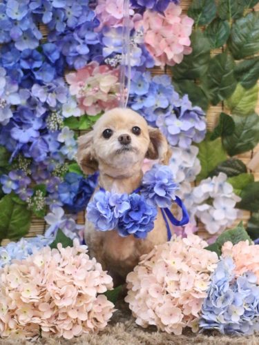 20250621ブランくん